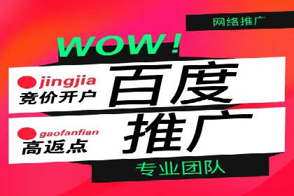 百度SEM代运营案例解析：揭秘高转化率策略
